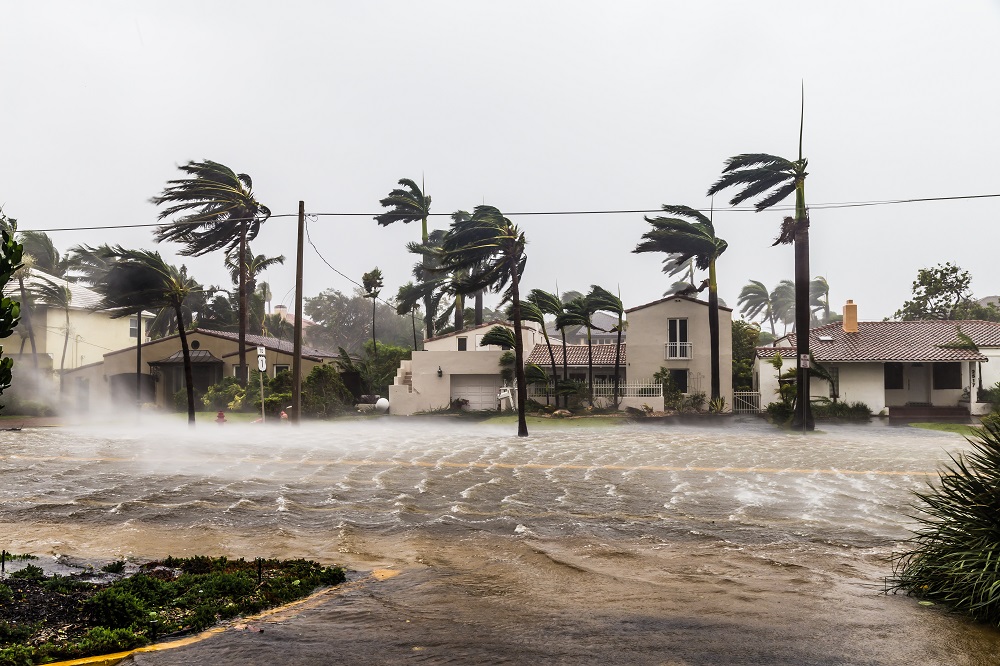 Flooded Las Olas Blvd and Palm trees blowing in the winds, catastrophic hurricane Irma.