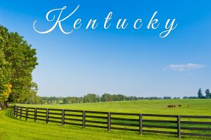 Kentucky Bluegrass on a Horse Farm. 