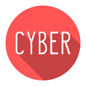 Cyber Security Insurance is needed for most small businesses. 