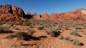 Sandstone, Nevada Desert