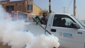 Pest Control by Fumigation
