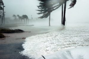 Key West is one area that frequently gets hit by hurricanes. Small businesses in this area have a knack for dealing with natural disasters. 