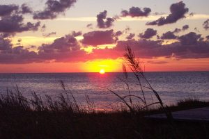 Ocean Sunset along the Coast